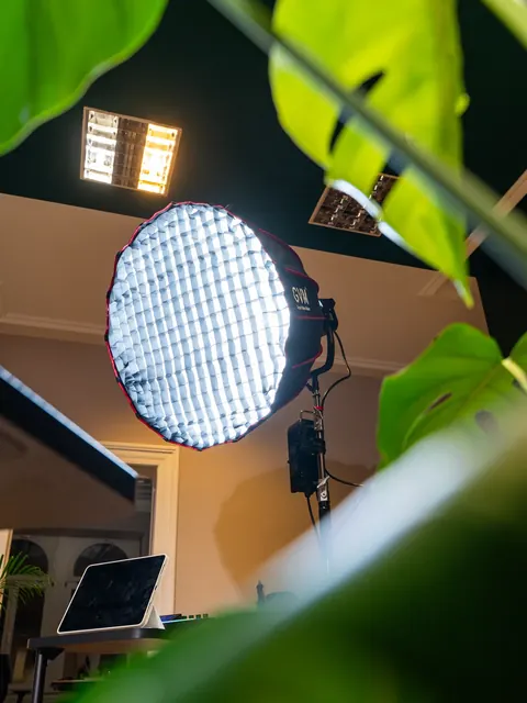 Softbox-Studioleuchte zwischen Pflanzen beim Set-Aufbau im Büro
